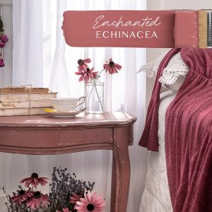 Enchanted Echinacea moble